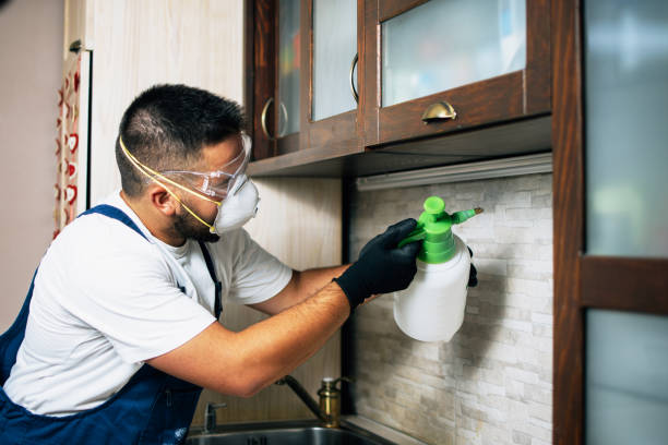 Best Pest Removal Services  in Leipsic, OH