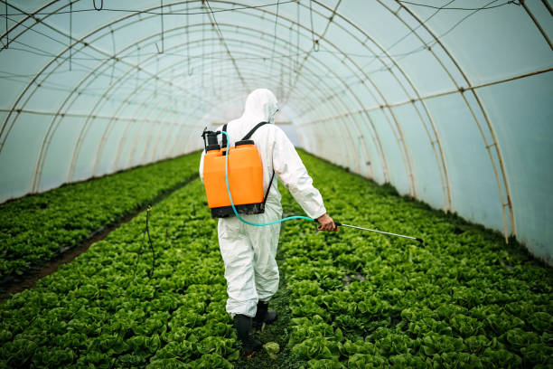 Best Pest Removal Services  in Leipsic, OH