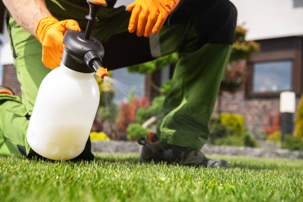 Best Ant Control Services  in Leipsic, OH