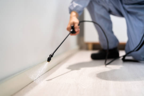 Pest Control Cost in Leipsic, OH