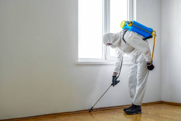 Best Wildlife Control Services  in Leipsic, OH