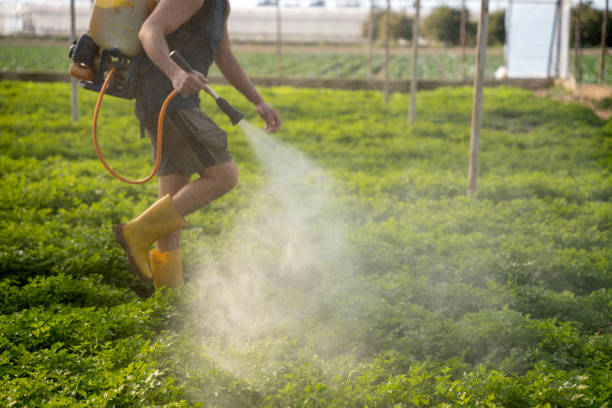 Reliable Leipsic, OH Pest Control Solutions