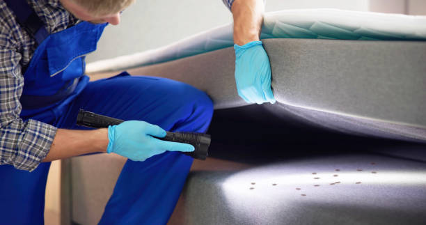 Best Termite Control Services  in Leipsic, OH