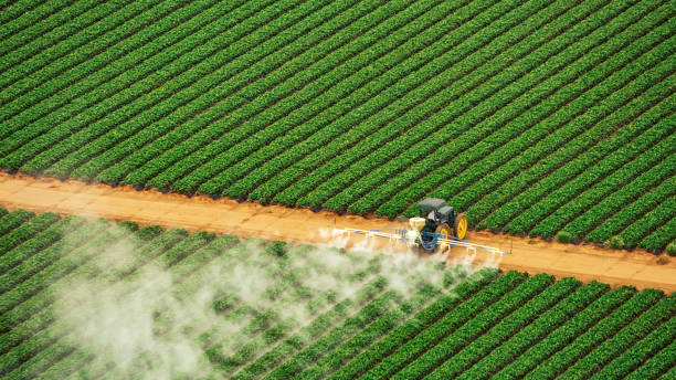 Best Local Pest Control Services  in Leipsic, OH