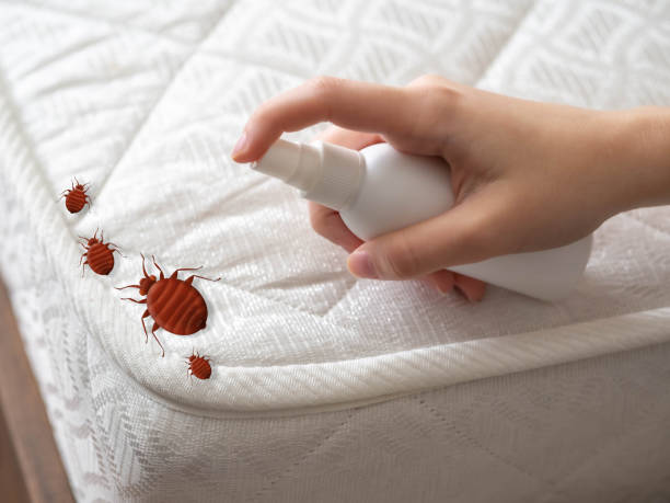 Best Affordable Pest Control Services  in Leipsic, OH