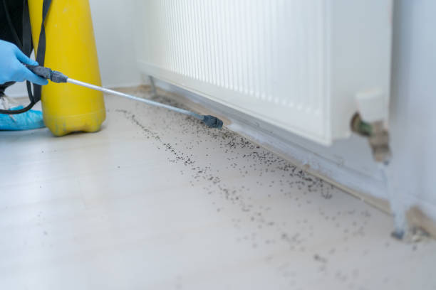 Best Residential Pest Control  in Leipsic, OH