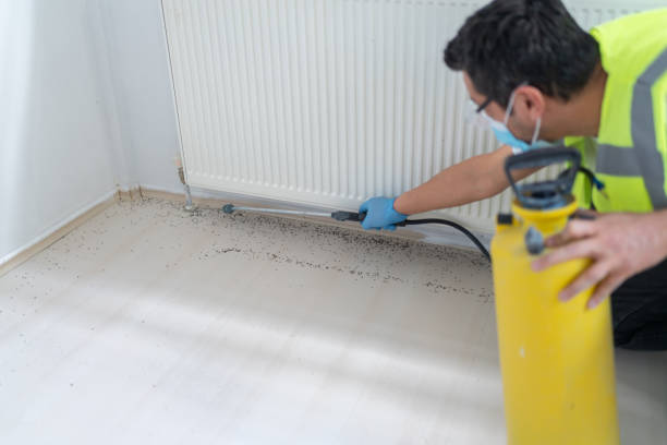 Flea Control Services in Leipsic, OH