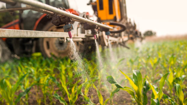 Best Best Pest Control Companies  in Leipsic, OH
